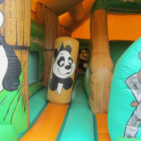 Panda Adventure Play With Front Slides
