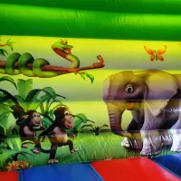 Jungle Bounce And Slide