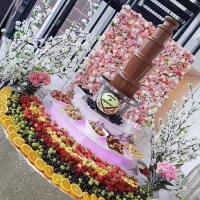 Chocolate Fountain And Fruit Combi Display