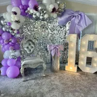 Themed Party Decor Back Drops
