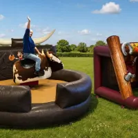 Rodeo Bull And Rodeo Hoopla