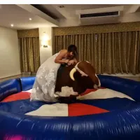 Rodeo Bull Hire Birmingham Bucking Bronco Hire