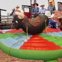 Inflatable Rodeo Bull