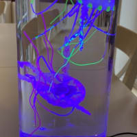 Jellyfish Sensory Tank