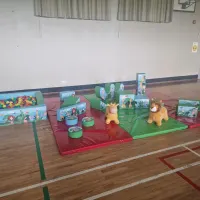 Jungle Softplay