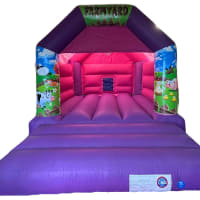 Pink And Purple Bouncy Castle 11ft X 15ft