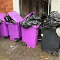 Bin Collection