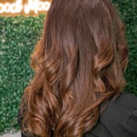 Root Touch-up In Ferryhill Hair Regrowth Colour  Shapeshift Hair And Beauty