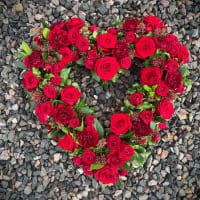 Open Heart