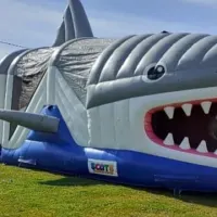 Shark Obstacle Course