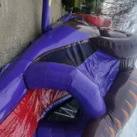 40ft Dinosaur Obstacle
