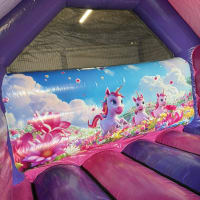 Unicorn Bouncy Castle Weekend