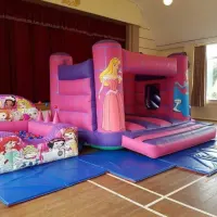 Mega Deluxe Princess Side Slide Birthday Party Package