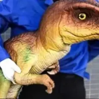 Mega Dinosaur Party Package