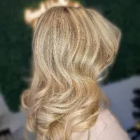 Platinum Card Highlights Service