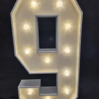 Number Lights 4ft 0-9 Available