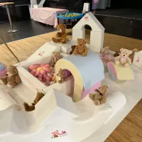 Themed Soft Play - Teddy Bears Picnic