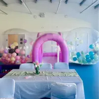 Pink Double Balloon Dome