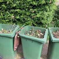 Garden Bin Collection