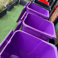 Bin Collection