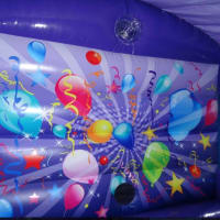 Blue And Purple Party Front Box Combi Disco