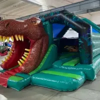 3d Dinosaur Bounce And Slide Bouncy Castle Combo