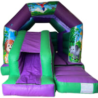 Green And Purple Combi 16ft X 12ft