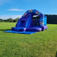 Blue Party Castle And Slide Combination