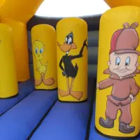 14ft X 14ft Looney Tunes Bouncy Castle