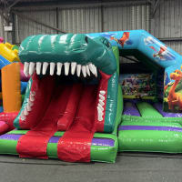 Dinosaur 3d Twin Slide Bouncy Castle