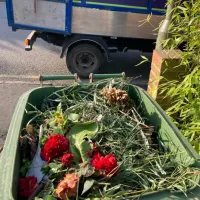 Garden Bin Collection