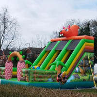 Mega Twin Lane Jungle Slide