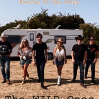 The Wild Ones Country Band