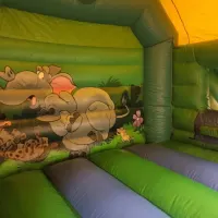 14ft X 16ft Jungle Party Bounce And Slide