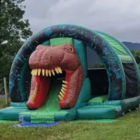 Dino Package