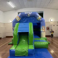 12ft X 18ft Blue And Green Combi - Bluey Artwork