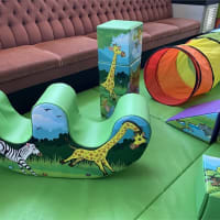 Jungle Soft Play Package