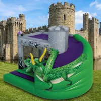 3d Dragons Lair Bouncy Castle With Slide