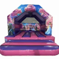 Princess Bouncy Castle