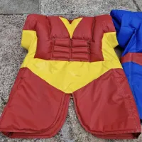 Character Sumo Suits