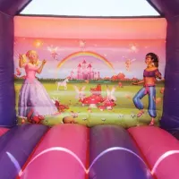 14ft X 16ft Princess Bounce And Slide