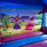 3d Princess Carriage Bouncy Castle Slide