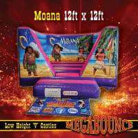 Moana Theme Package