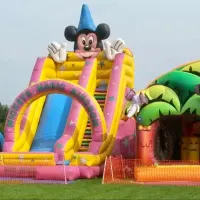 Giant Inflatable Slide