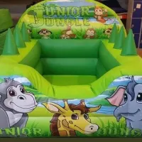 Jungle Softplay Ballpool Set