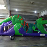 Indoor Double Dinosaur 3d Package