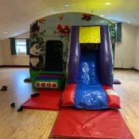 12ft X 15ft Jungle Slide Castle