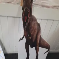 4ft Cut Out