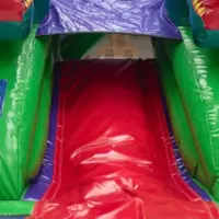 Dinosaur Front Slide Combi 3 D T Rex