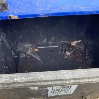 Bin Collection